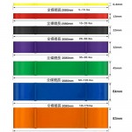 RTB2081 訓練拉力帶